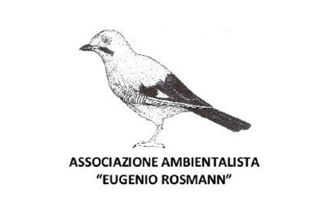 5° Premio Eugenio Rosmann - Bando di Concorso 2021