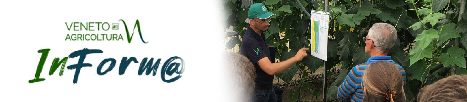 VenetoAgricoltur@ informa.Numero speciale, dedicato al Progetto For.Italy