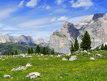 Soggiorni climatici anno 2021. Apertura iscrizioni MONTAGNA per il mese di luglio.